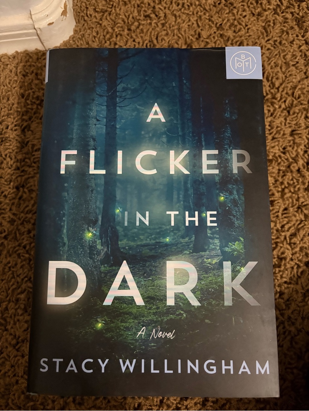 A Flicker in the Dark by Stacy Willingham - Dark Forest Hardcover
